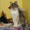 Отзыв от Наталия Ситникова